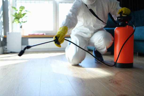 Reliable Odor Removal contractor in Elma, WA by Trauma Clean Pros